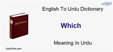 Which Meaning in Urdu Konsa کونسا .
